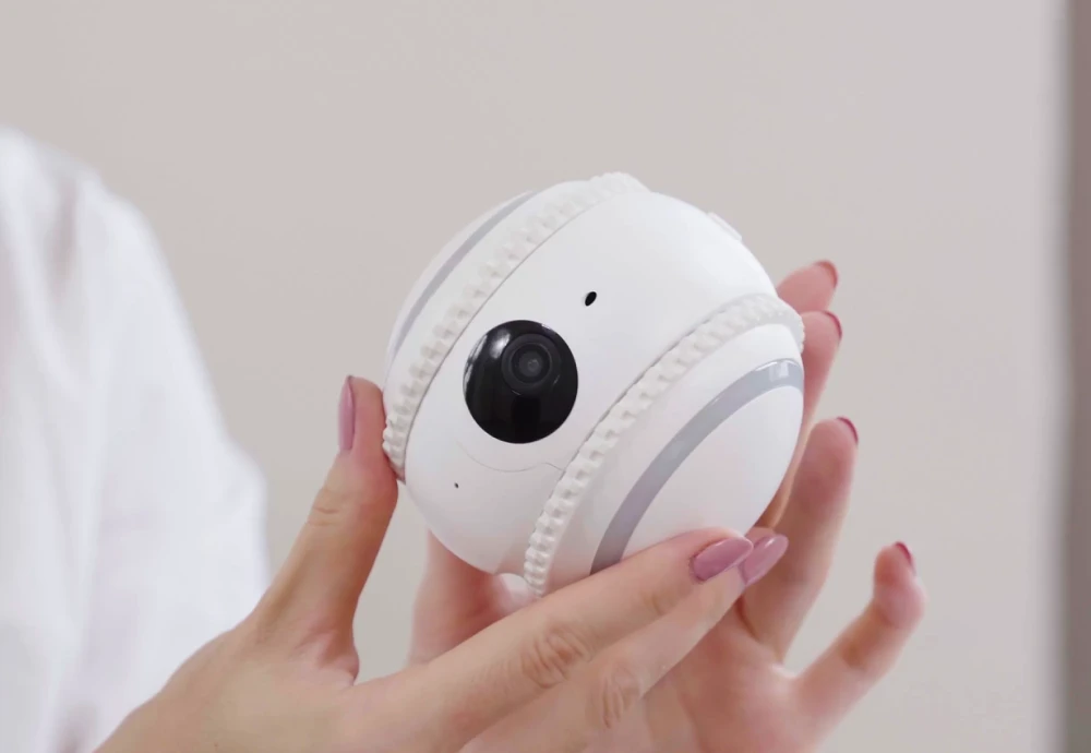 best indoor pet monitoring camera
